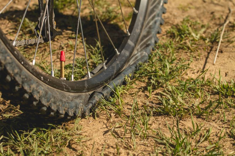 How to Handle a Tire Crisis on the Trail with Your E-Bike