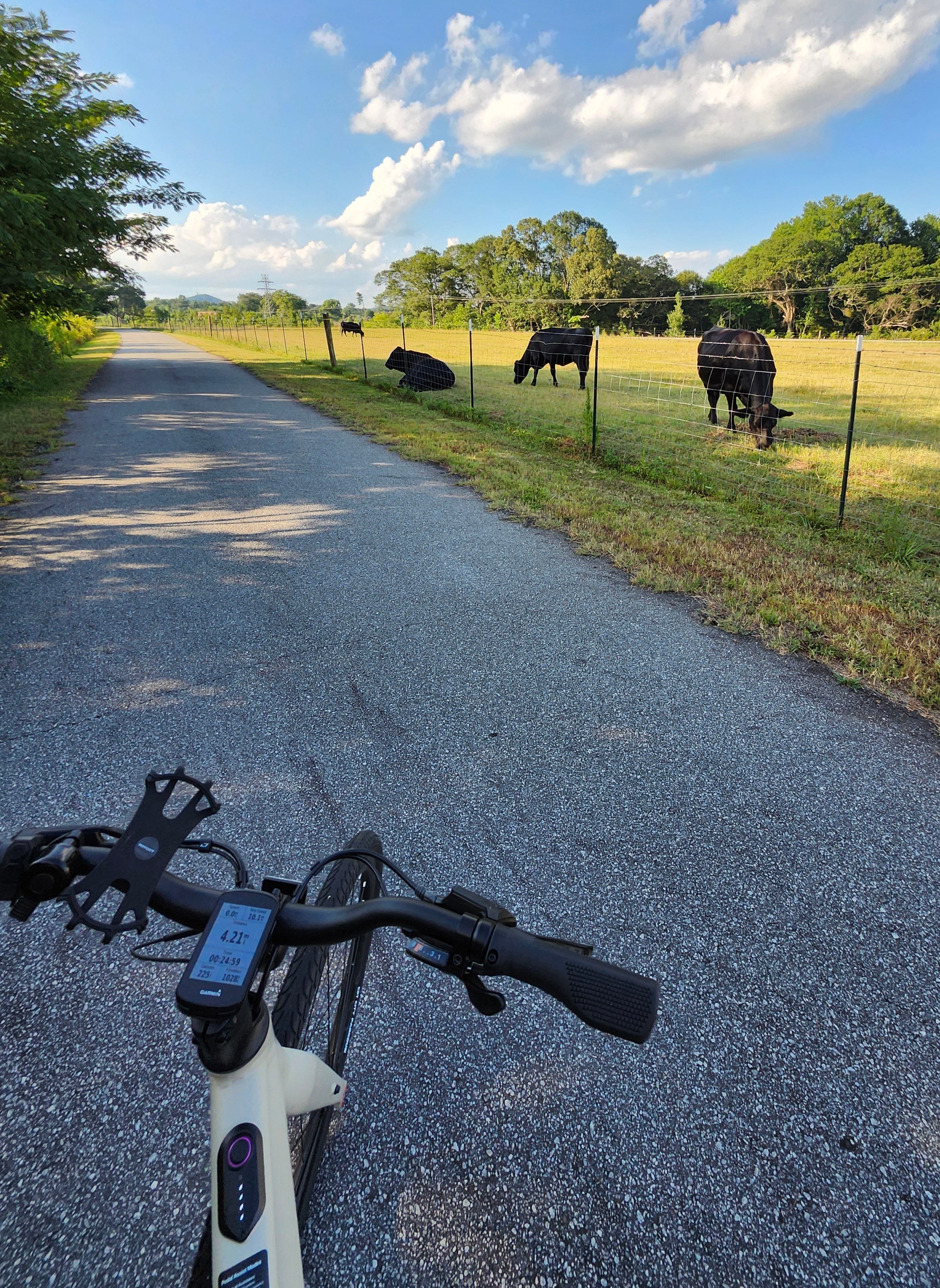 Exploring the Doodle Trail with Bike Depot: Your Ultimate Bike Rental Experience