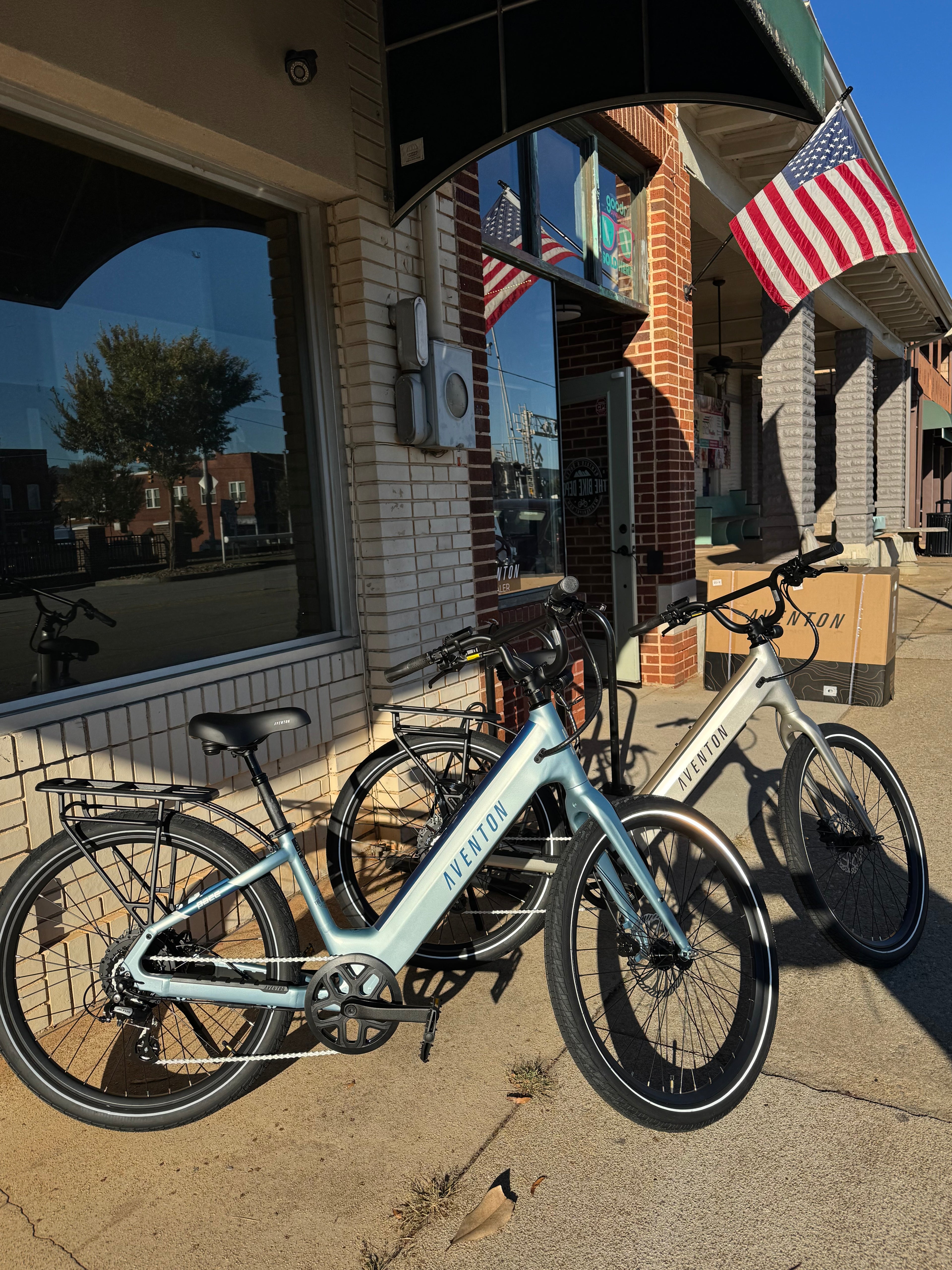 4-Hour E-Bike Rental – The Bike Depot